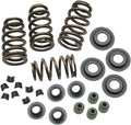 Beehive Conversion Spring Kit Evo Bt 84 03 .650 Lift