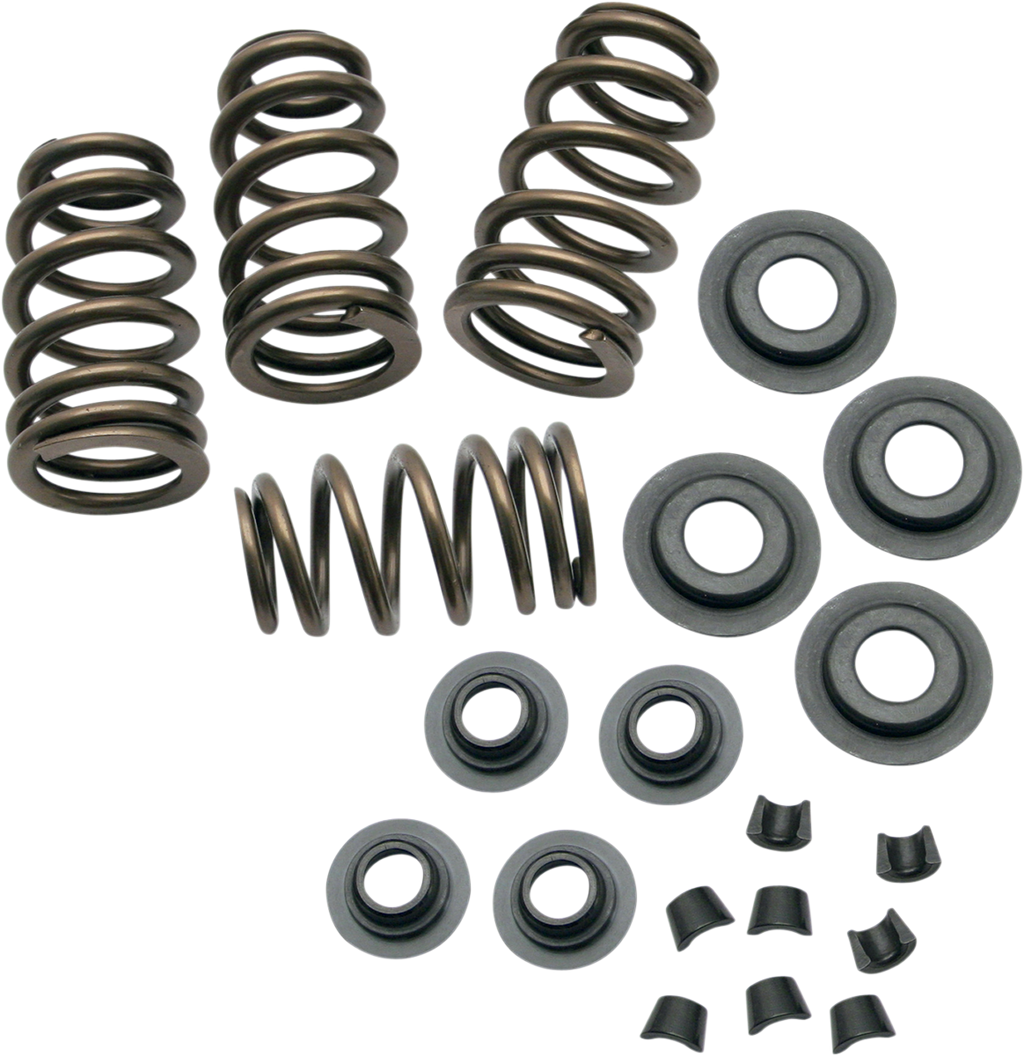 S&S CYCLE Spring Kit - .650" 900-0050