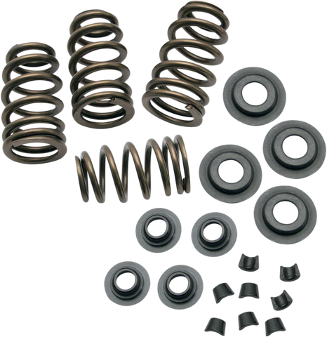 S&S CYCLE Spring Kit - .650" 900-0050