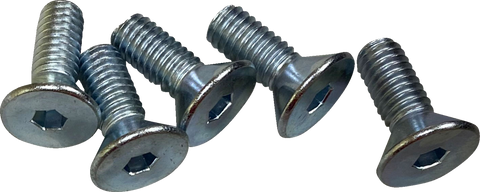 DRAG SPECIALTIES Hardware Kit - Brake Rotor - Socket-Head - Front - 5/16"-18 O39-0404