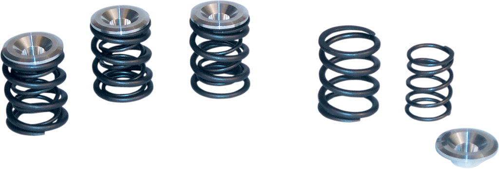 S&S CYCLE Valve Spring Kit - Big Twin 90-2053