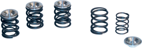 S&S CYCLE Valve Spring Kit - Big Twin 90-2053