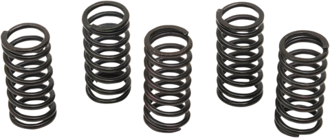 BARNETT Clutch Spring Kit 501-34-05122