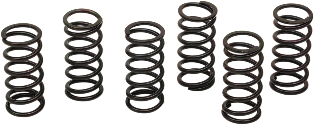 BARNETT Clutch Spring Kit 501-58-06121