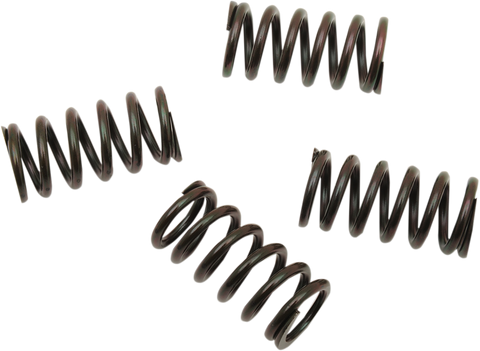 BARNETT Clutch Spring Set 501-85-04120