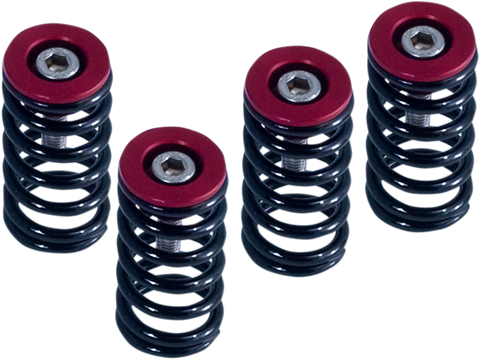 BARNETT Clutch Springs 519-25-06098