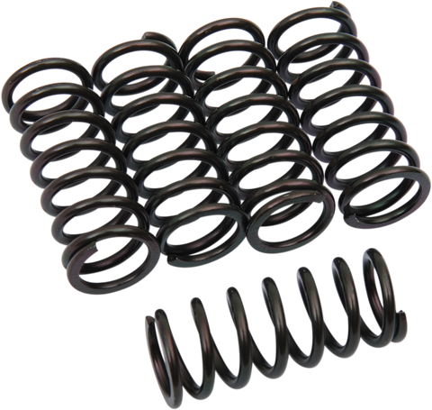 BARNETT Clutch Springs 501-73-05067