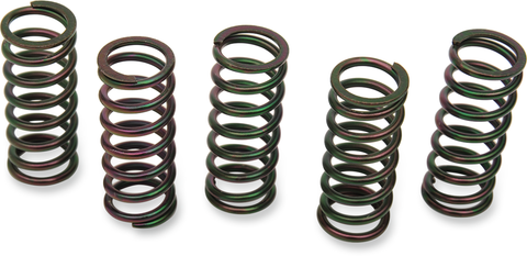 BARNETT Clutch Springs 501-58-05076