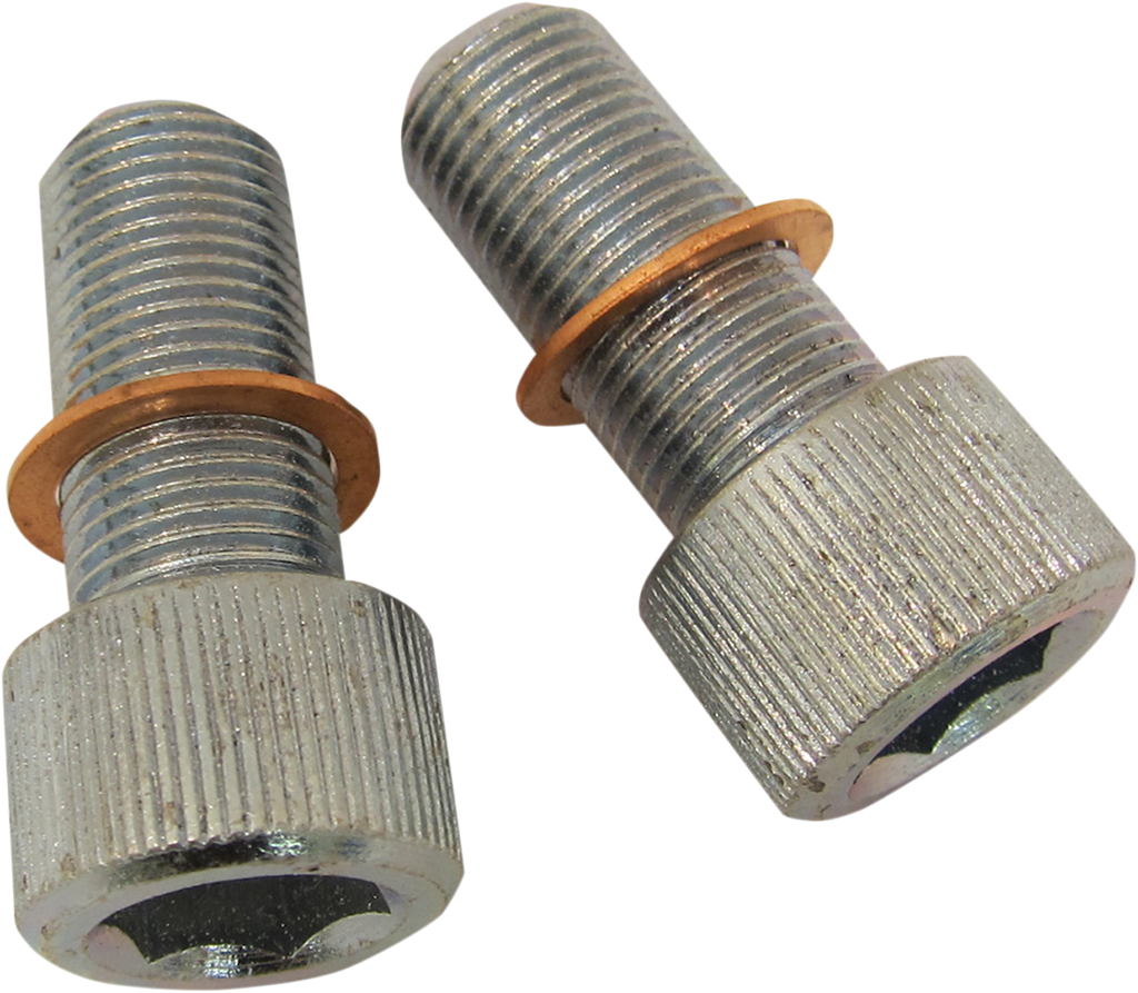 DRAG SPECIALTIES Screws with/Washers - Damper Tube C23-0236NU-2