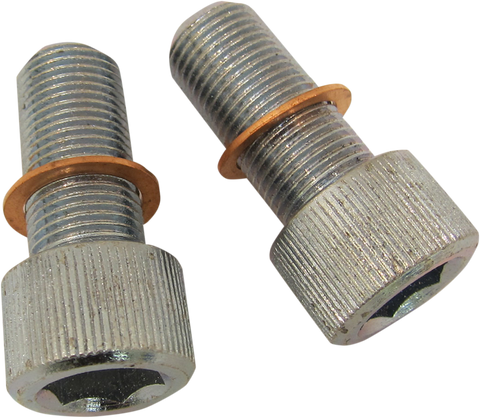 DRAG SPECIALTIES Screws with/Washers - Damper Tube C23-0236NU-2
