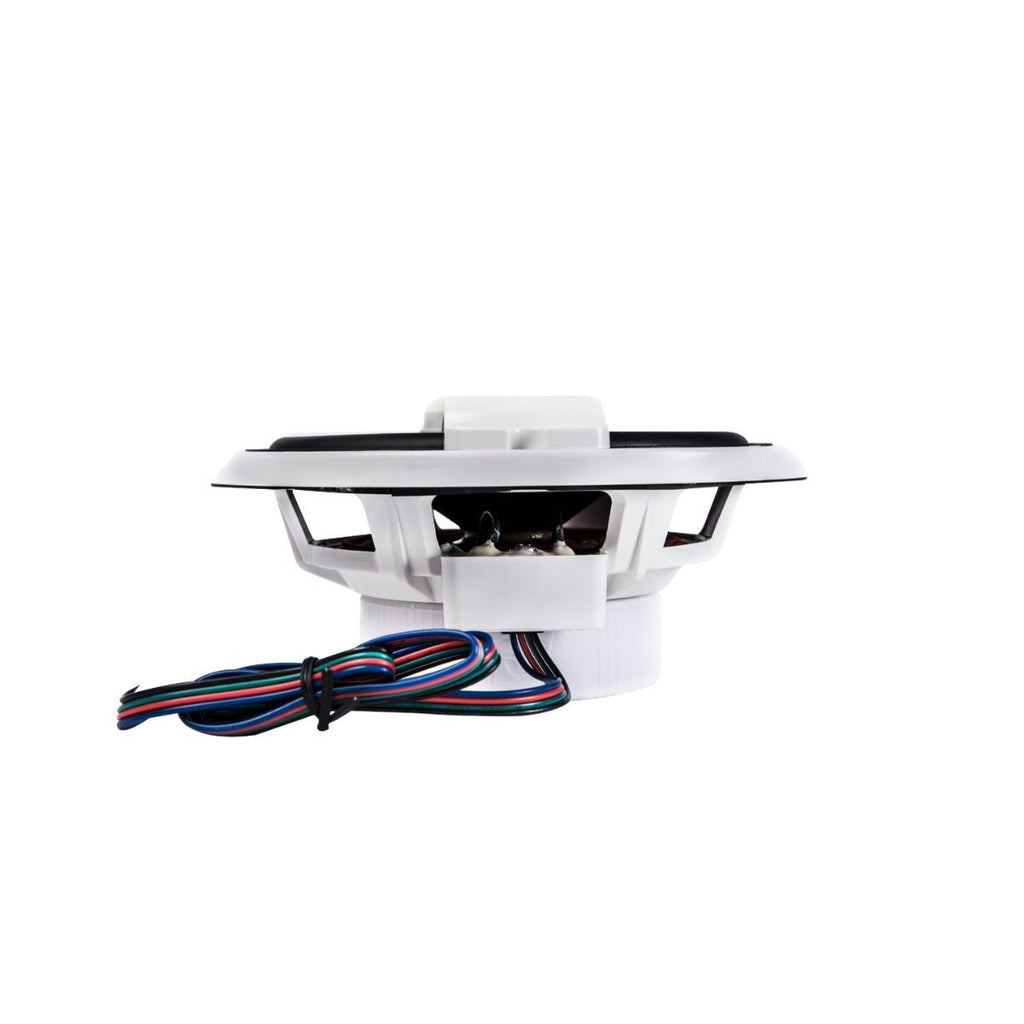 RPM Vega 6.5" Series 2-Way Coaxial Speaker VM65