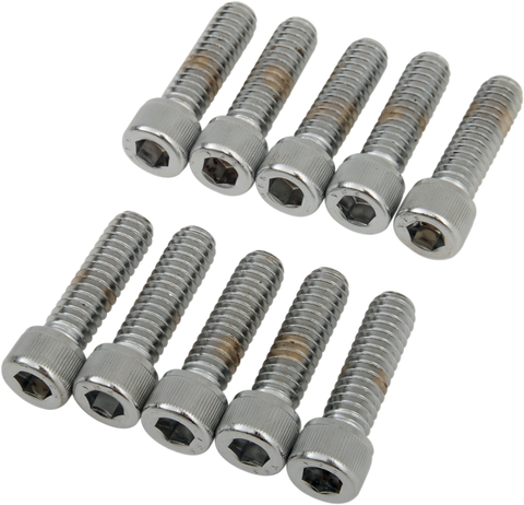 DRAG SPECIALTIES Bolts - Socket-Head - Knurled - 1/4-20 x 7/8" MPB180