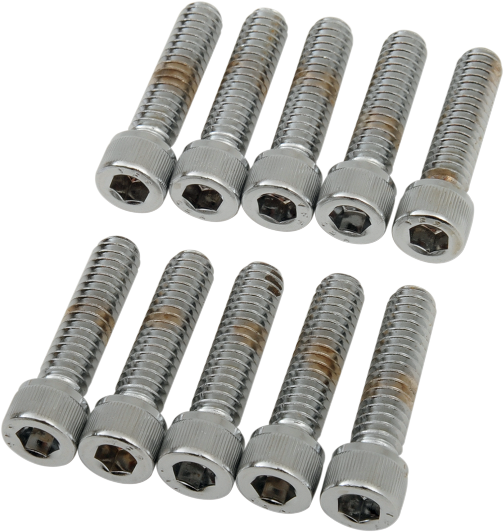 DRAG SPECIALTIES Bolts - Socket-Head - Knurled - 1/4-20 x 1" MPB181