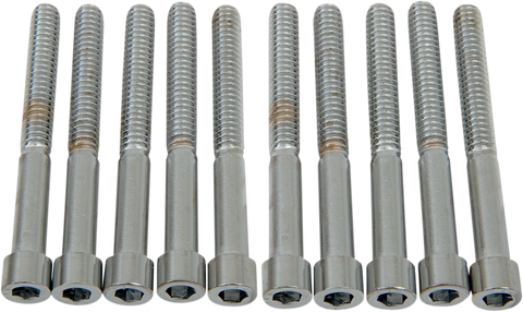 DRAG SPECIALTIES Bolts - Socket-Head - Smooth - 1/4-20 x 2-1/4" MPB186S
