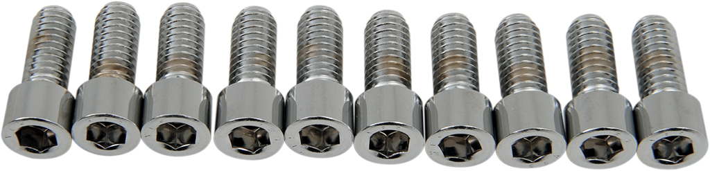 DRAG SPECIALTIES Bolts - Socket-Head - Smooth - 5/16-18 x 3/4" MPB215S
