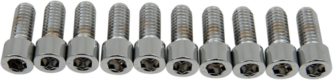 DRAG SPECIALTIES Bolts - Socket-Head - Smooth - 5/16-18 x 3/4" MPB215S