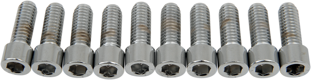 DRAG SPECIALTIES Bolts - Socket-Head - Smooth - 5/16-18 x 7/8" MPB216S