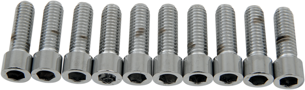 DRAG SPECIALTIES Bolts - Socket-Head - Smooth - 5/16-18 x 1" MPB217S