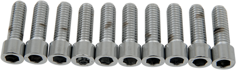 DRAG SPECIALTIES Bolts - Socket-Head - Smooth - 5/16-18 x 1" MPB217S