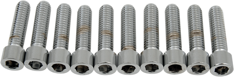 DRAG SPECIALTIES Bolts - Socket-Head - Smooth - 5/16-18 x 1-1/4" MPB218S