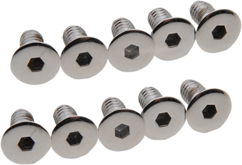 DRAG SPECIALTIES Cover Screws - Derby/Inspection MK157