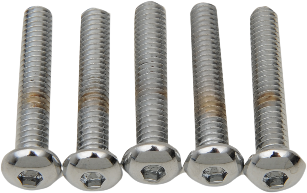 DRAG SPECIALTIES Bolts - Button-Head - 1/4"-20 x 2" MPB824