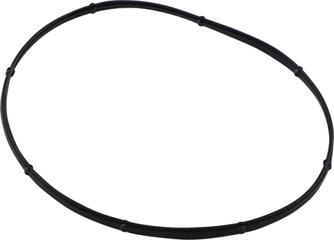 JAMES GASKET Derby Cover Gasket - Big Twin JGI-17369-06
