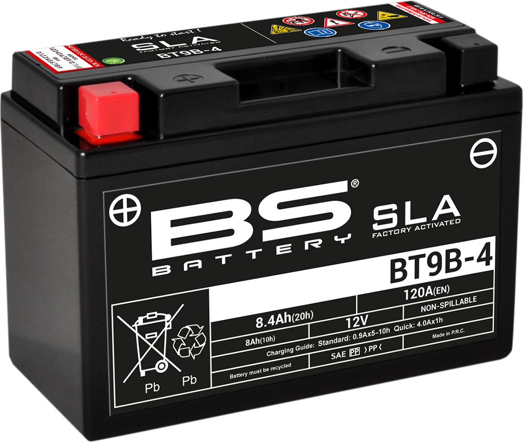 BS BATTERY Battery - BT9B-4 300642