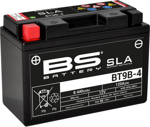 BS BATTERY Battery - BT9B-4 300642