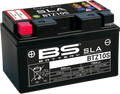 BS BATTERY Battery - BTZ10S 300636