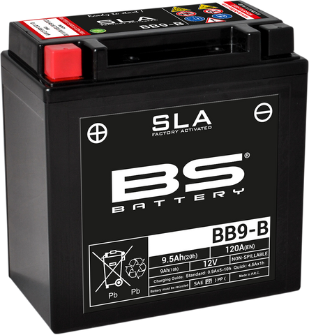 BS BATTERY Battery - BB9-B 300675