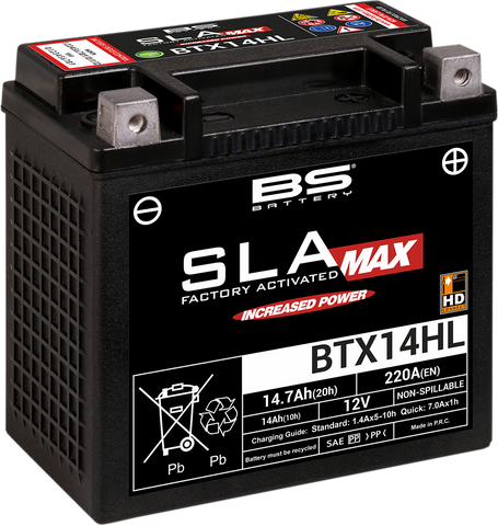 BS BATTERY Battery - BTX14HL 300882