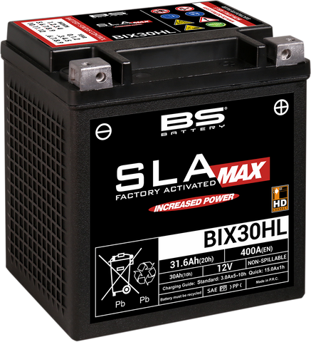 BS BATTERY Battery - BIX30HL 300884