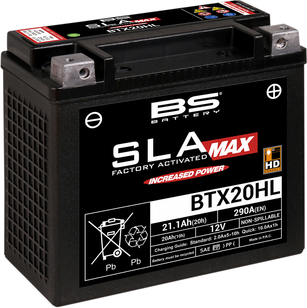 BS BATTERY Battery - BTX20HL 300883