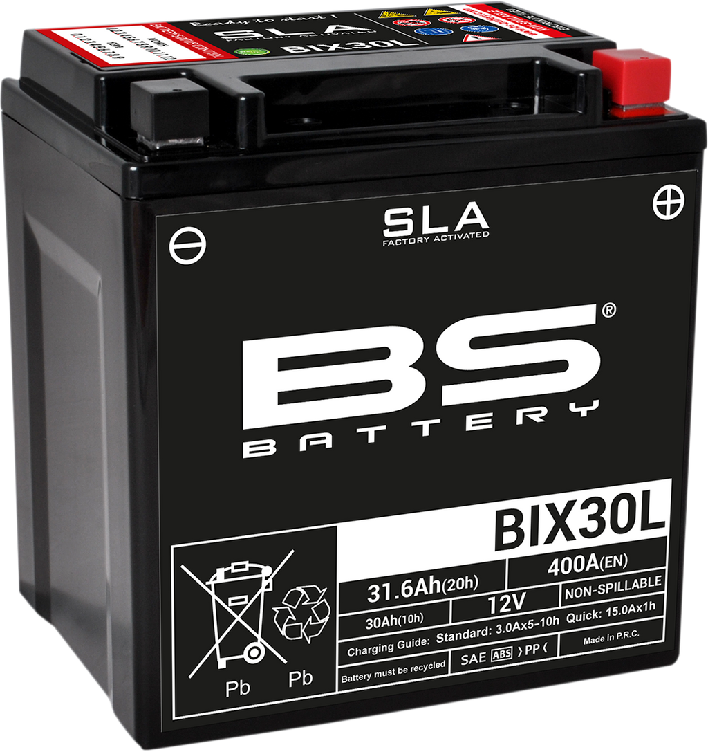 BS BATTERY Battery - BIX30L 300631