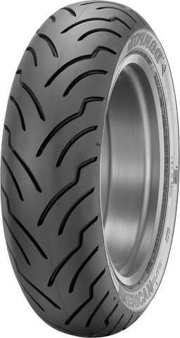 DUNLOP Tire - American Elite* - Rear - 240/40R18- 79V 45131730