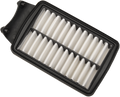 DRAG SPECIALTIES Air Filter - Victory 7081648 E14-0997
