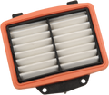 DRAG SPECIALTIES Air Filter - Victory 7081395 E14-0998