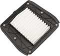 DRAG SPECIALTIES Air Filter - Indian E14-0996