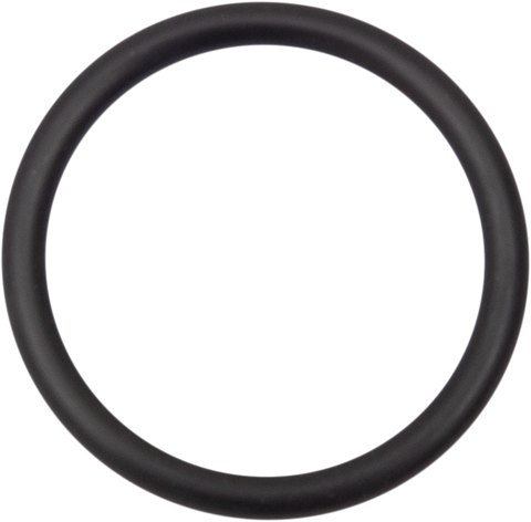 JAMES GASKET Starter O-Ring - Street 500/750 JGI-ST-11900028