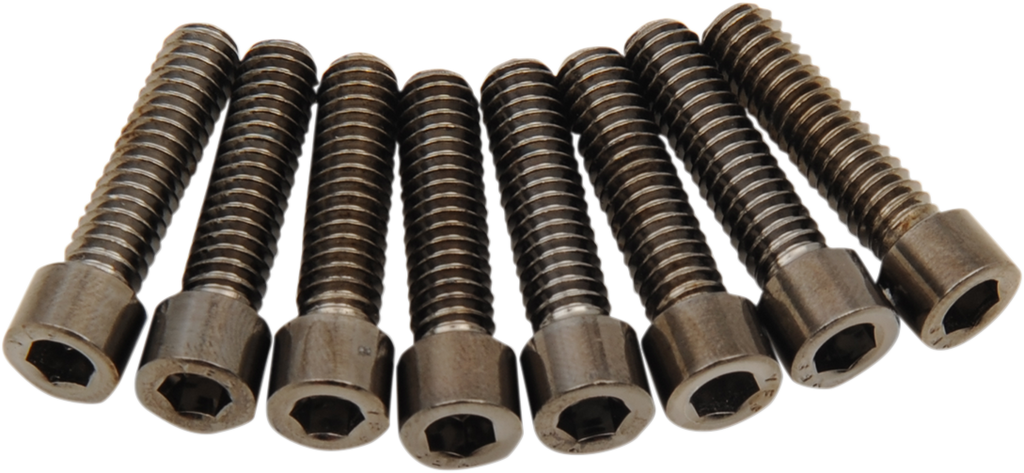 DRAG SPECIALTIES Bolt Kit - Lifter - Black/Chrome - Smooth - M8 MK776SBK