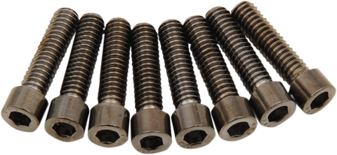 DRAG SPECIALTIES Bolt Kit - Lifter - Black/Chrome - Smooth - M8 MK776SBK