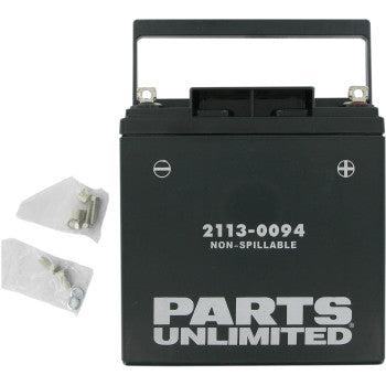 Factory-Activated AGM Maintenance-Free Battery 2113-0094