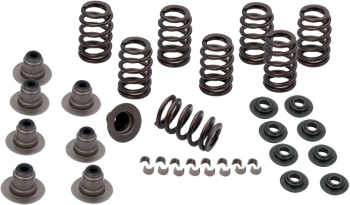 Spring Kit .650 Lift Tc 04 17 Xl 04 18