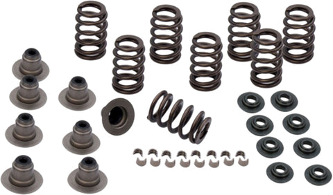 Spring Kit .650 Lift Tc 04 17 Xl 04 18