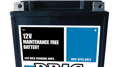 Factory-Activated AGM Maintenance-Free Battery - 2113-0795