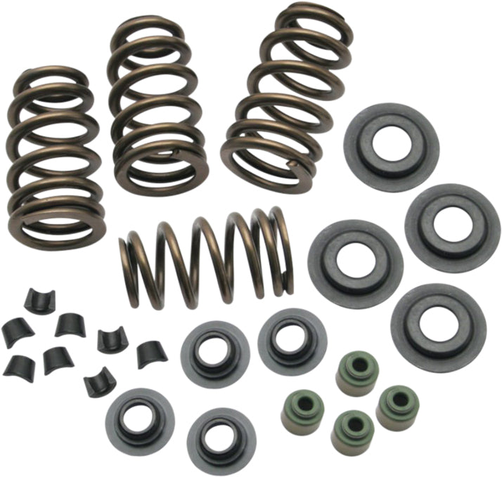 Beehive Conversion Spring Kit Evo Bt 84 03 .650 Lift