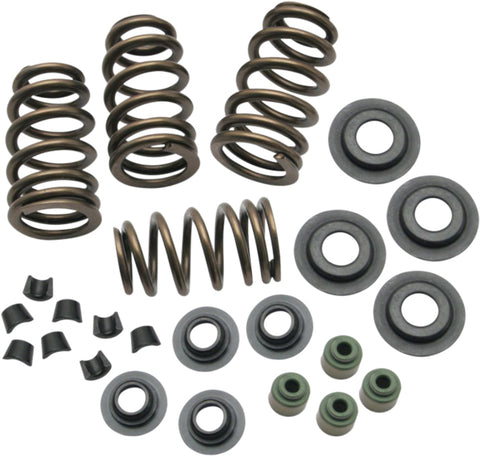 Beehive Conversion Spring Kit Evo Bt 84 03 .650 Lift
